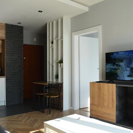 Apartment Sosnowiec City - Free Parking - Easy Check-In מראה חיצוני תמונה