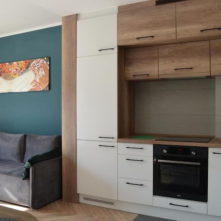 Apartment Sosnowiec City - Free Parking - Easy Check-In מראה חיצוני תמונה
